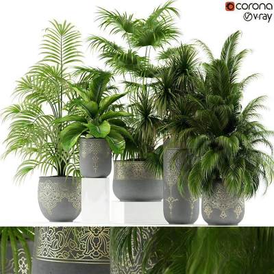 现代植物盆栽组合-D1